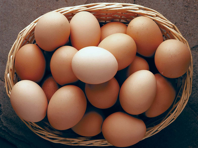 産卵鶏の産卵に対するベタインの影響